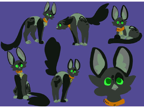 [×] "Star Cat" || Spotify Concept Art || [×]