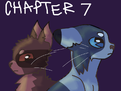 Cover thingy