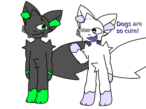 Cats or dogs?