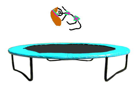 Bouncy bounce