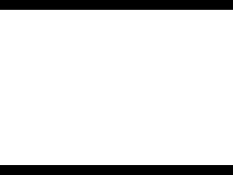 Scratch Bitmap Test