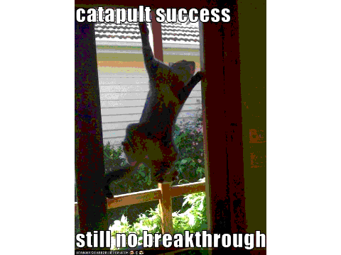 MY LOLCATS