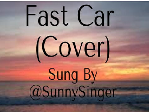 Fast Car Cover