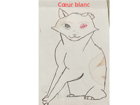 Cœur blanc dessin pour le concours lgdc
