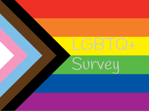 LGBTQ+ Survey remix