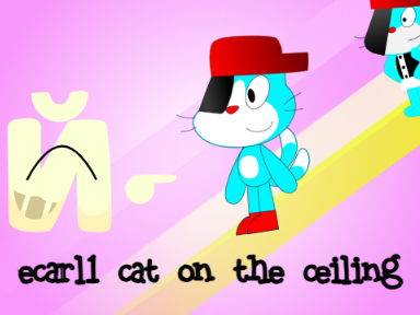 ecarl1 cat on the ceiling