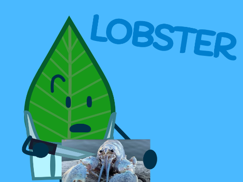 Lobster