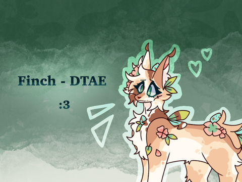 ✧ DTAE - Finch ✧