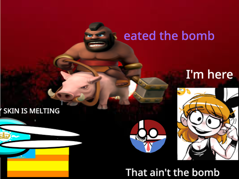 [REDACTED]