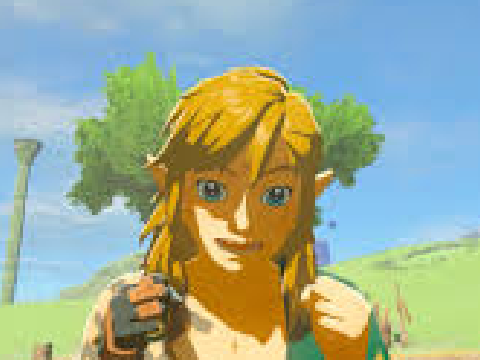 Link the MASTER CHEF!