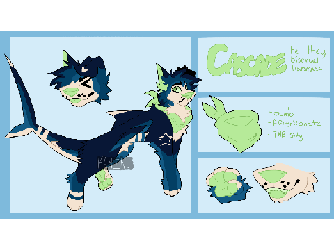 new sona 