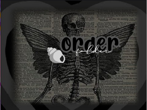 *ੈ✩‧₊˚order folder