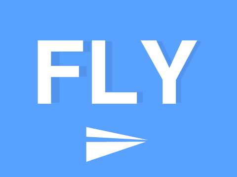 Fly