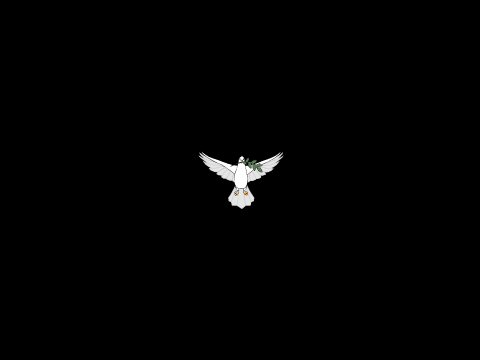 Dove Shapes