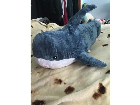 {Random} BLAHJAH, my savior and pillow :D