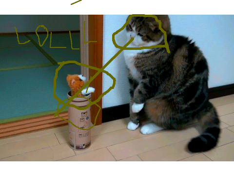 Top 3 cutest cat gifs remix