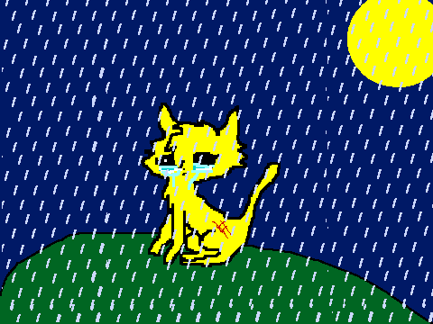 Crying Cat Contest OPEN Entry