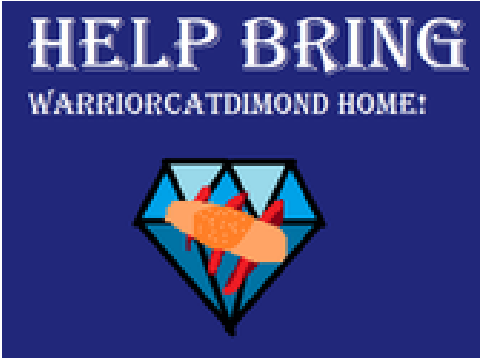 SAVE WARRIORCATDIMOND!!! remix
