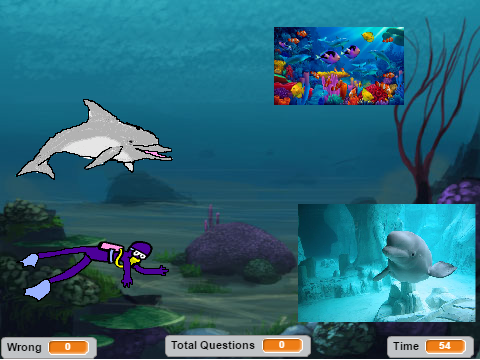 Bottlenose Dolphins Ms. McCarthy