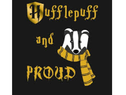 l am in hufflepuff