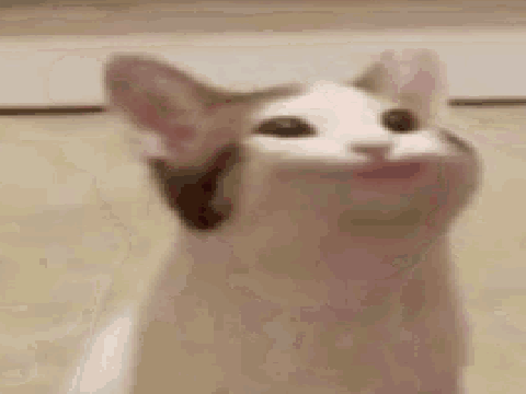 Pop Cat Meme (Original)
