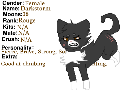 ScratchClan Sign-up~ Darkstorm