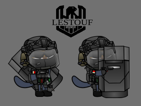 Scratch lestouf GIGN
