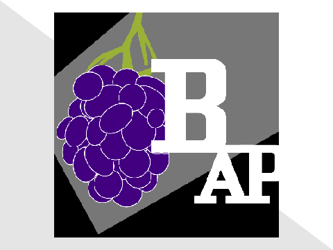 @BlackberryAngelPuff Logo