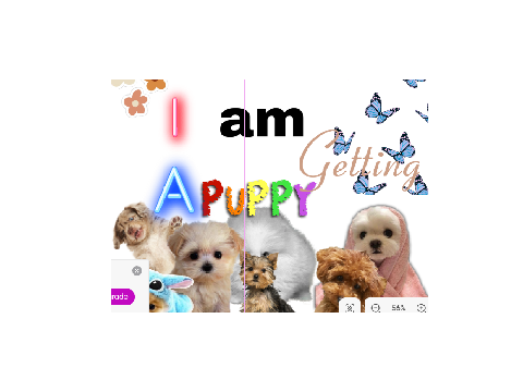 I GOT A PUPPY