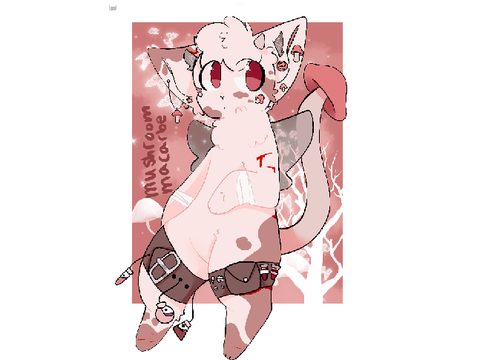 Dtae 1/2