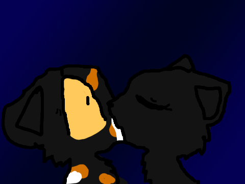 Sol x Hollyleaf