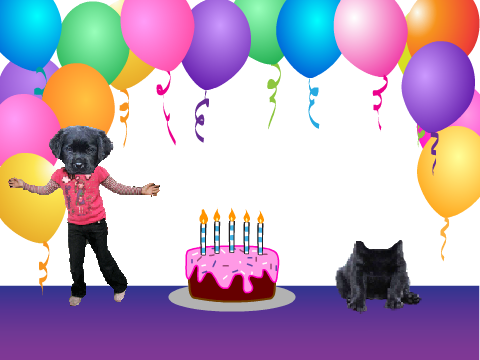 Happy Birthday!!! <3
