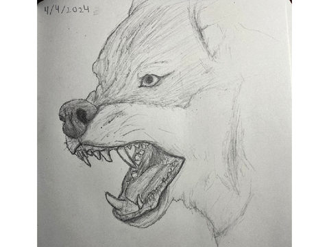 Wolf