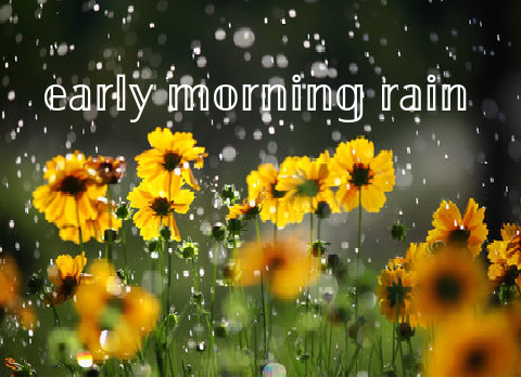 Early Morning Rain: A Poem