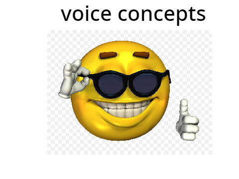 Some voice concepts 