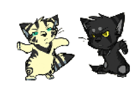1 year on scratch!