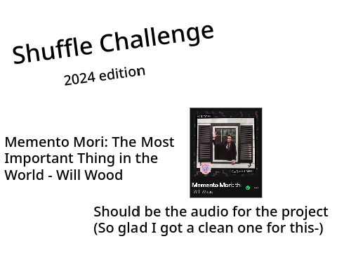 Shuffle challenge 2024 remix