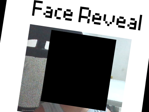 Face Reveal