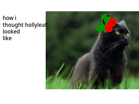 How I thought warrior cats looked like v.s how they look like
