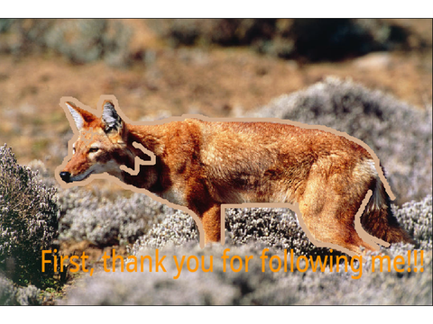 300+ followers!!!!!!!!!!!!!!!