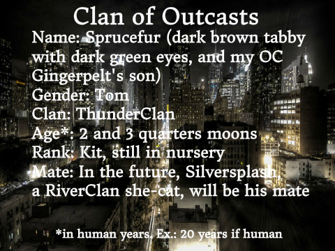 Clan of Outcasts RP Bio【Sprucefur and Silversplash】