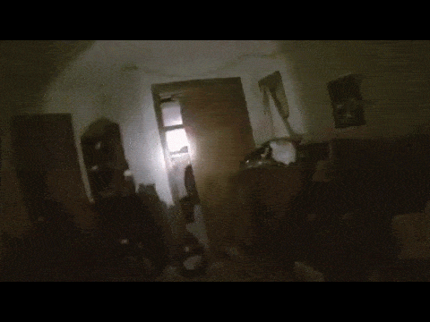 One Night with Plushies