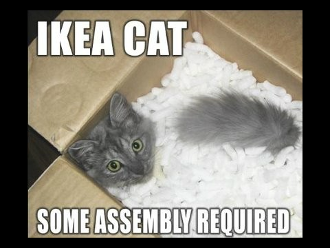 lol cats