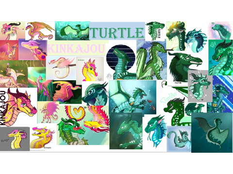 Turtle and Kinkajou background