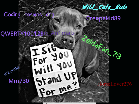 Remix and sign if you hate animal cruelty! <3 remix remix remix remix remix