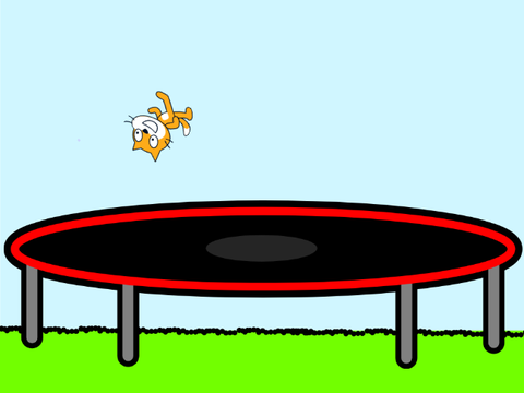 Trampoline!!!!!!!!!!!!!!!!!!!!!!!!!!!!!!!