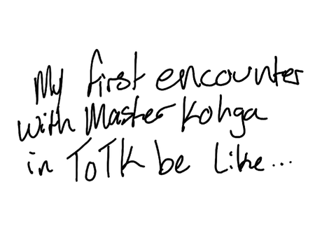 My Totk experience (so far)
