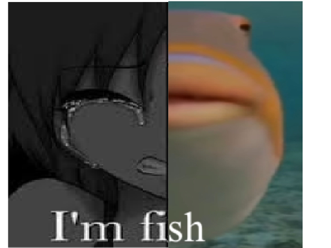 im fish