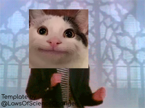 Beluga cat meme