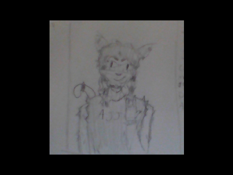 tabby